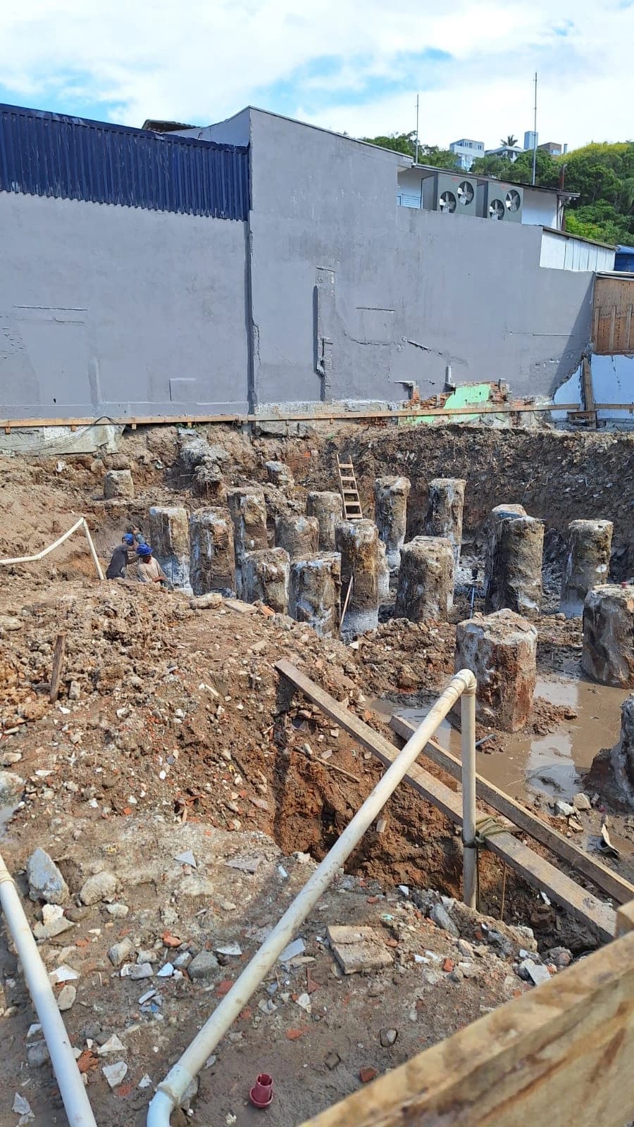 Bethell Dezembro/2025