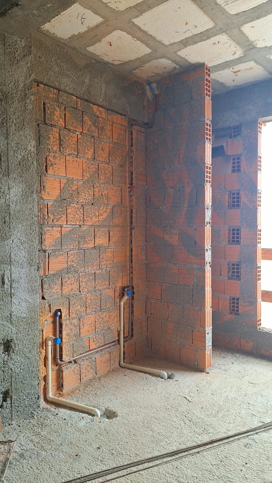 Jardim Brilhante Novembro/2025